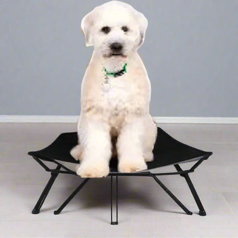 Dog resting on black elevated mesh cot
Foldable raised pet bed for outdoor travel
Side view of elevated dog cot with mesh
Cat lying on raised portable pet bed
Folded compact dog bed for easy storage