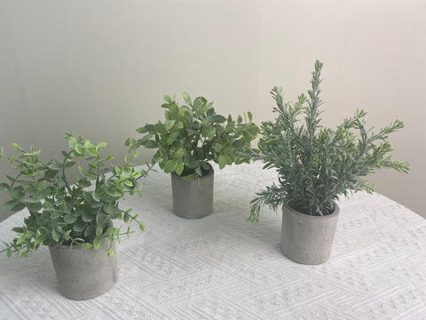 NEW FAKE ARTIFICIAL SILK PLANTS & TROPICAL TREES - with 3 - Pack Potted Faux Eucalyptus Plants | Sold by Uncle Wiener's Wholesale