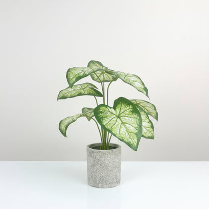 NEW FAKE ARTIFICIAL SILK PLANTS & TROPICAL TREES - with 2 - Pack Potted Faux Eucalyptus Plants | Sold by Uncle Wiener's Wholesale