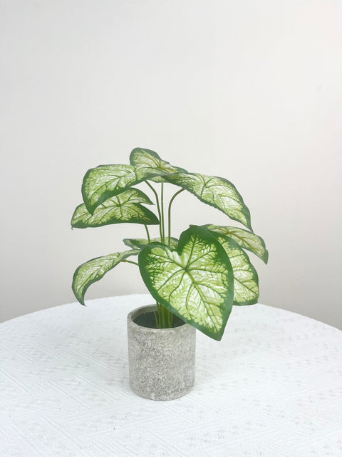 NEW FAKE ARTIFICIAL SILK PLANTS & TROPICAL TREES - with 2 - Pack Potted Faux Eucalyptus Plants | Sold by Uncle Wiener's Wholesale