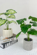 NEW FAKE ARTIFICIAL SILK PLANTS & TROPICAL TREES - with 2 - Pack Potted Faux Eucalyptus Plants | Sold by Uncle Wiener's Wholesale