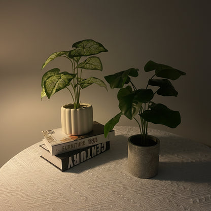 NEW FAKE ARTIFICIAL SILK PLANTS & TROPICAL TREES - with 2 - Pack Potted Faux Eucalyptus Plants | Sold by Uncle Wiener's Wholesale
