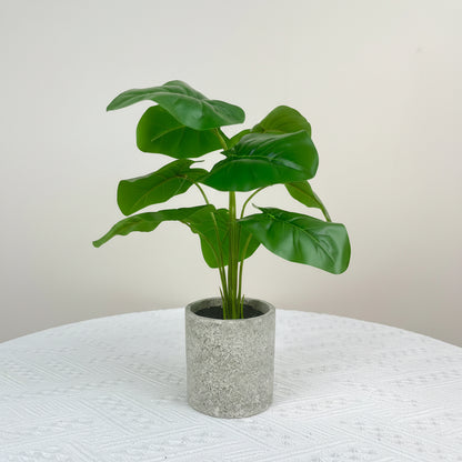 NEW FAKE ARTIFICIAL SILK PLANTS & TROPICAL TREES - with 2 - Pack Potted Faux Eucalyptus Plants | Sold by Uncle Wiener's Wholesale
