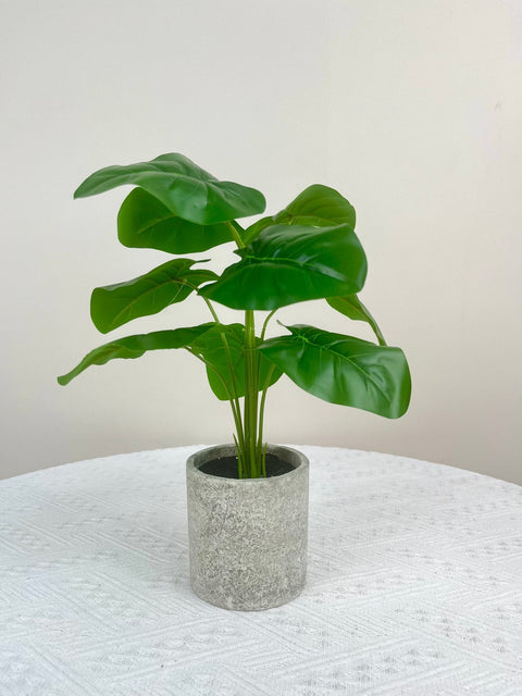 NEW FAKE ARTIFICIAL SILK PLANTS & TROPICAL TREES - with 2 - Pack Potted Faux Eucalyptus Plants | Sold by Uncle Wiener's Wholesale