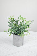 NEW FAKE ARTIFICIAL SILK PLANTS & TROPICAL TREES - with 3 - Pack Potted Faux Eucalyptus Plants | Sold by Uncle Wiener's Wholesale