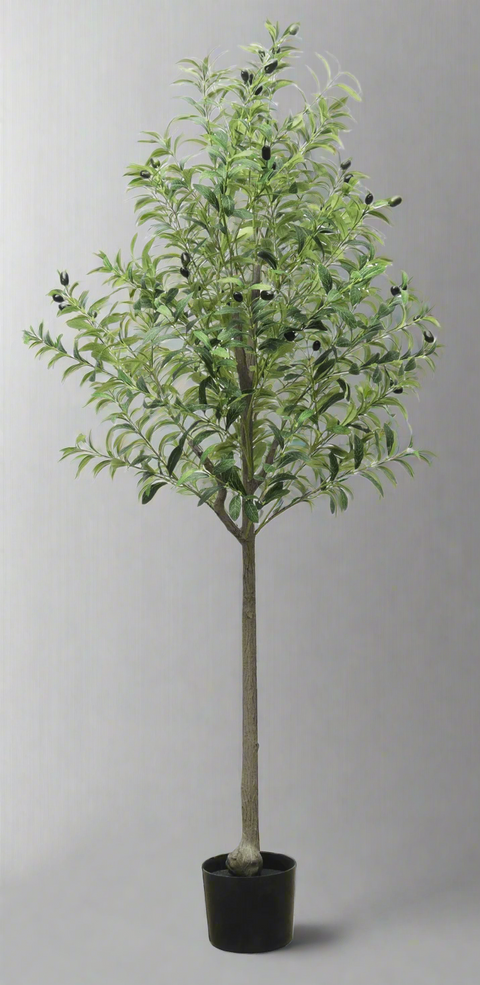 NEW FAKE ARTIFICIAL SILK PLANTS & TROPICAL TREES - with 5FT. Artificial Olive Tree | Sold by Uncle Wiener's Wholesale