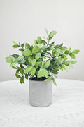 NEW FAKE ARTIFICIAL SILK PLANTS & TROPICAL TREES - with 3 - Pack Potted Faux Eucalyptus Plants | Sold by Uncle Wiener's Wholesale