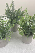 NEW FAKE ARTIFICIAL SILK PLANTS & TROPICAL TREES - with 3 - Pack Potted Faux Eucalyptus Plants | Sold by Uncle Wiener's Wholesale