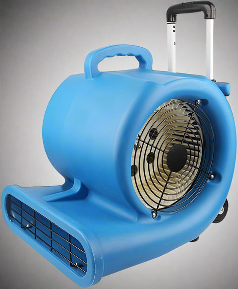 Floor dryer fan with wheels and handle

High-velocity air mover for job sites

Blue industrial carpet dryer fan in use

Heavy-duty blower fan for water damage

Portable air mover fan on wheels