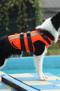 New Fluorescent Orange Dog Life Jacket – High - Visibility Pet Safety Vest for Swimming & Boating - with Medium 42×42 cm | Sold by Uncle Wiener's Wholesale