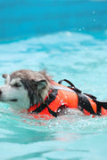 New Fluorescent Orange Dog Life Jacket – High - Visibility Pet Safety Vest for Swimming & Boating - with Medium 42×42 cm | Sold by Uncle Wiener's Wholesale