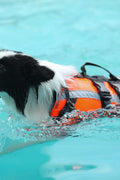 New Fluorescent Orange Dog Life Jacket – High - Visibility Pet Safety Vest for Swimming & Boating - with Medium 42×42 cm | Sold by Uncle Wiener's Wholesale