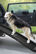 Dog using non-slip folding ramp for SUV access safely