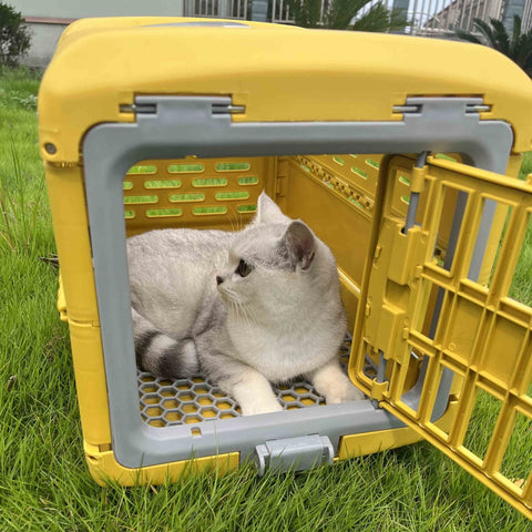 New Folding Plastic Pet Carrier – Airline - Approved Crate for Small & Large Pets - with LARGE BLUE | Sold by Uncle Wiener's Wholesale