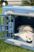 New Folding Plastic Pet Carrier – Airline - Approved Crate for Small & Large Pets - with LARGE BLUE | Sold by Uncle Wiener's Wholesale