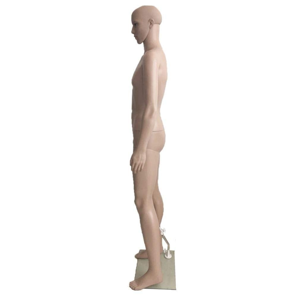 NEW Full - Body Realistic Mannequin Display Heads — Female & Male - with +2 Male | Sold by Uncle Wiener's Wholesale