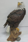 Resin eagle statue for garden and indoor display – lifelike design
Hand-painted patriotic eagle sculpture with durable resin
Majestic outdoor bird décor – eagle statue for yard or patio