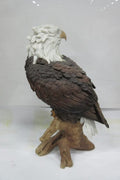 Resin eagle statue for garden and indoor display – lifelike design
Hand-painted patriotic eagle sculpture with durable resin
Majestic outdoor bird décor – eagle statue for yard or patio