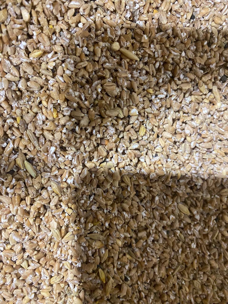 Heavy-duty grain milling machine with hopper and roller
Industrial grain roller for feed and brewing use
750 lbs/hour grain processing equipment with green body
Grain flattener roller mill with durable steel construction