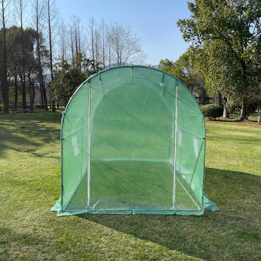 Heavy-duty walk-in tunnel greenhouse with UV-resistant PE cover