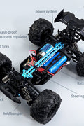 NEW HIGH - PERFORMANCE 4WD OFF ROAD MONSTER RC 50KM - with Monster Truck | Sold by Uncle Wiener's Wholesale