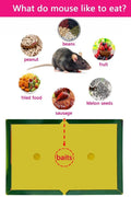 New Hovex Large Size Glue Trap – Effective Mouse & Rat Pest Control 51GT - with | Sold by Uncle Wiener's Wholesale