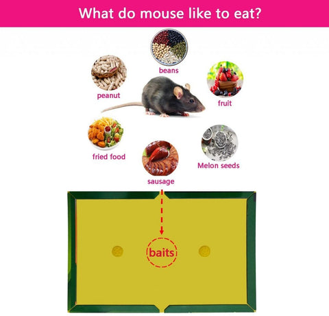 New Hovex Large Size Glue Trap – Effective Mouse & Rat Pest Control 51GT - with | Sold by Uncle Wiener's Wholesale