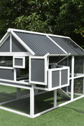 Spacious backyard chicken coop with secure wire mesh and wooden frame