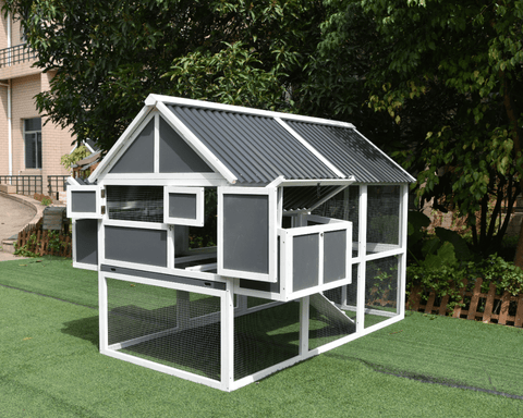 Spacious backyard chicken coop with secure wire mesh and wooden frame