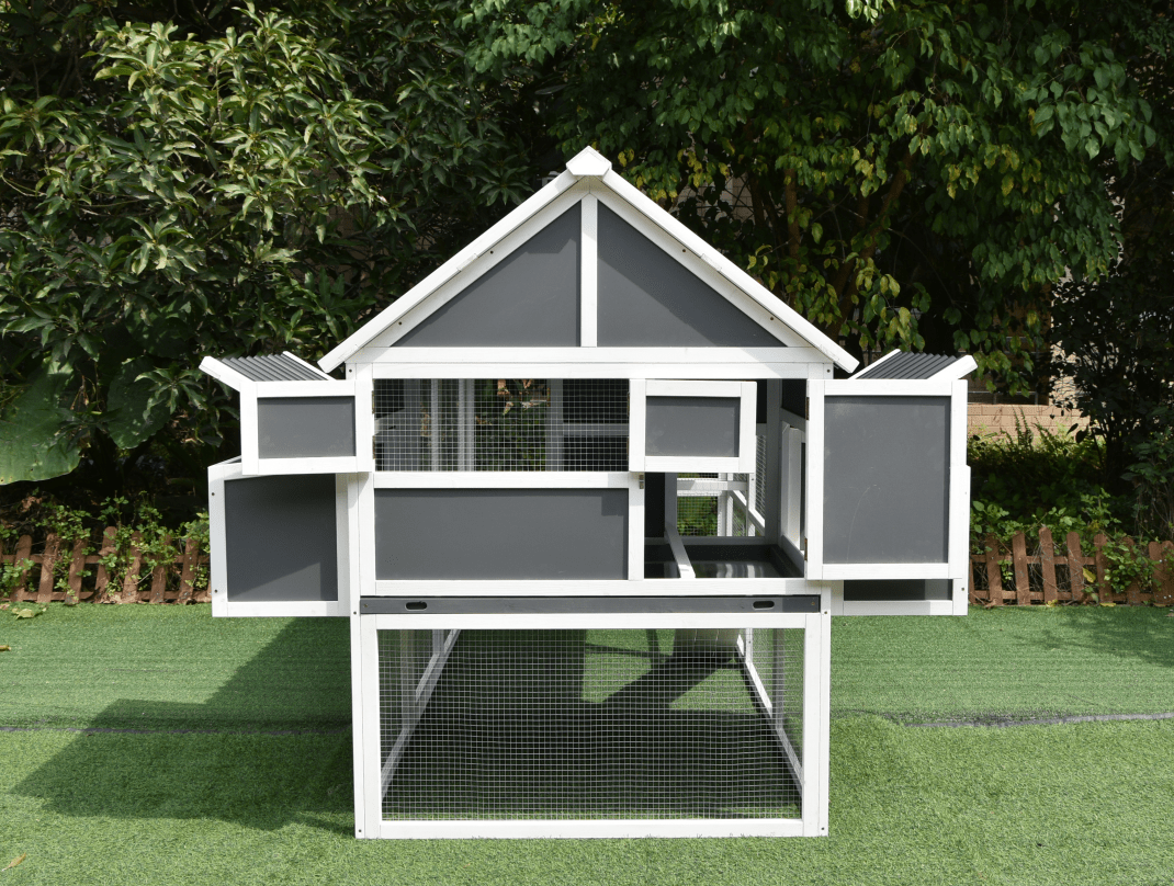 Gray backyard chicken run with multiple access points and predator-proof design