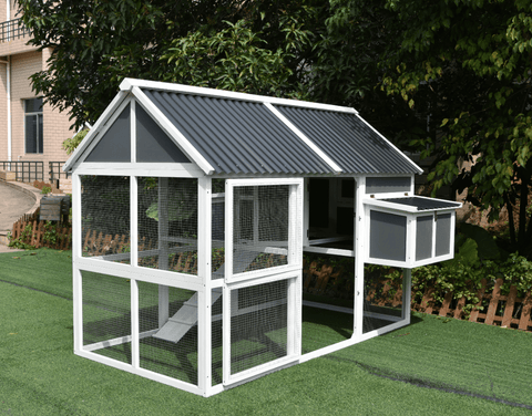 Wooden chicken coop featuring attached nesting box and easy-access doors