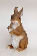 Large Garden Rabbit Statue - Brown Resin

Eco-Friendly Rabbit Sculpture for Outdoor Decor

Close-Up of Resin Rabbit Garden Ornament

Realistic Animal Statue for Lawn and Patio