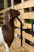 New Livestock Steel Gate Attachment Nose Loop Headpiece – Durable Animal Restraint Tool S1230 - with | Sold by Uncle Wiener's Wholesale