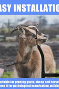 New Livestock Steel Gate Attachment Nose Loop Headpiece – Durable Animal Restraint Tool S1230 - with | Sold by Uncle Wiener's Wholesale