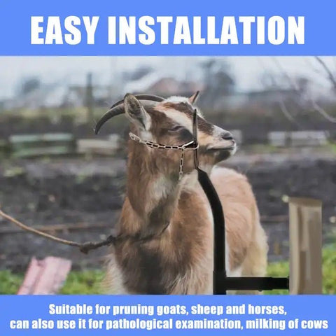 New Livestock Steel Gate Attachment Nose Loop Headpiece – Durable Animal Restraint Tool S1230 - with | Sold by Uncle Wiener's Wholesale