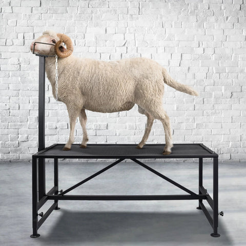 New Livestock Trimming Stand – Sheep Shearing & Goat Grooming Platform S1129 - with | Sold by Uncle Wiener's Wholesale