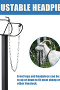 New Livestock Trimming Stand – Sheep Shearing & Goat Grooming Platform S1129 - with | Sold by Uncle Wiener's Wholesale