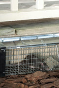 New Metal Single Door Mouse Trap – Durable Animal Trap for Effective Rodent Control 67612 - with | Sold by Uncle Wiener's Wholesale