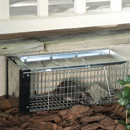 New Metal Single Door Mouse Trap – Durable Animal Trap for Effective Rodent Control 67612 - with | Sold by Uncle Wiener's Wholesale