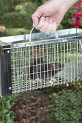 New Metal Single Door Mouse Trap – Durable Animal Trap for Effective Rodent Control 67612 - with | Sold by Uncle Wiener's Wholesale