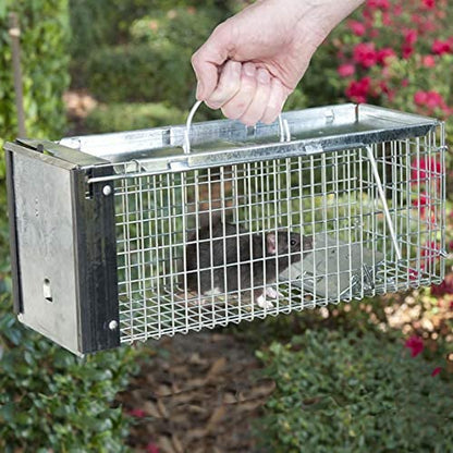 New Metal Single Door Mouse Trap – Durable Animal Trap for Effective Rodent Control 67612 - with | Sold by Uncle Wiener's Wholesale