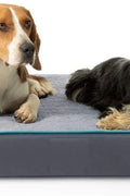 New Orthopedic Memory Foam Dog Bed with Removable Washable Cover – Joint Support for All Breeds - with Small dog bed 15″x20″x3″ | Sold by Uncle Wiener's Wholesale