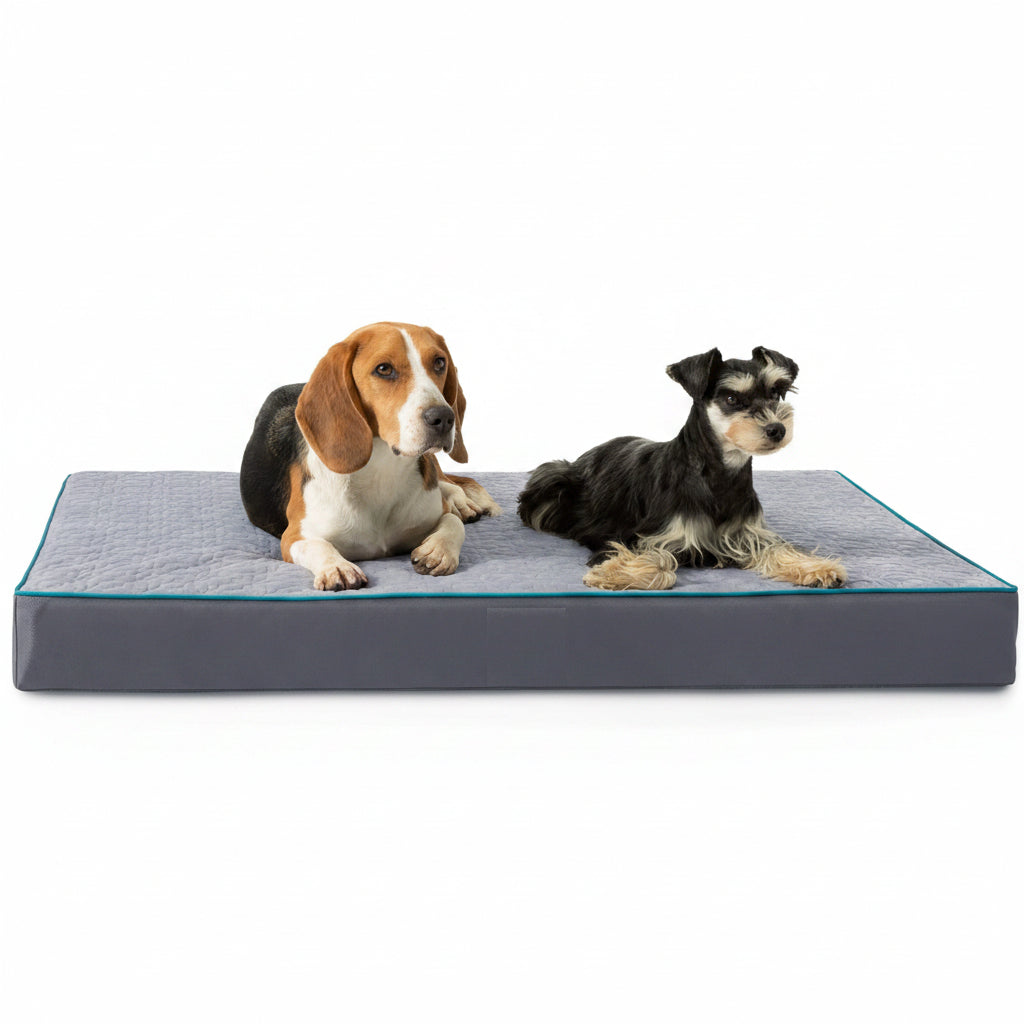 New Orthopedic Memory Foam Dog Bed with Removable Washable Cover – Joint Support for All Breeds - with Small dog bed 15″x20″x3″ | Sold by Uncle Wiener's Wholesale