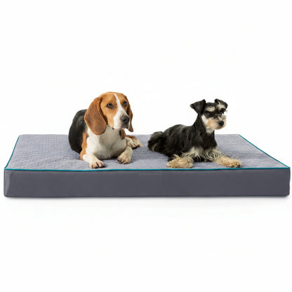 New Orthopedic Memory Foam Dog Bed with Removable Washable Cover – Joint Support for All Breeds - with Small dog bed 15″x20″x3″ | Sold by Uncle Wiener's Wholesale