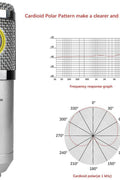 New Professional Condenser Recording Studio Microphone Set – High Quality Audio Kit GAM800H - with | Sold by Uncle Wiener's Wholesale
