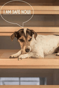 Clear anti-slip stair tape strips applied to wooden stairs
PVA stair traction tape for home safety use – 24” x 4” strips
Non-slip grip tape strips on tile stair surface for pets and kids
