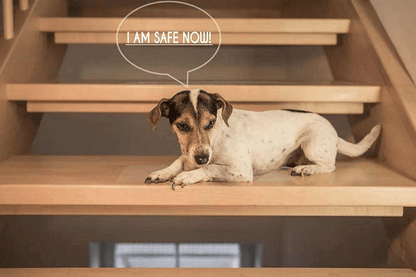 Clear anti-slip stair tape strips applied to wooden stairs
PVA stair traction tape for home safety use – 24” x 4” strips
Non-slip grip tape strips on tile stair surface for pets and kids
