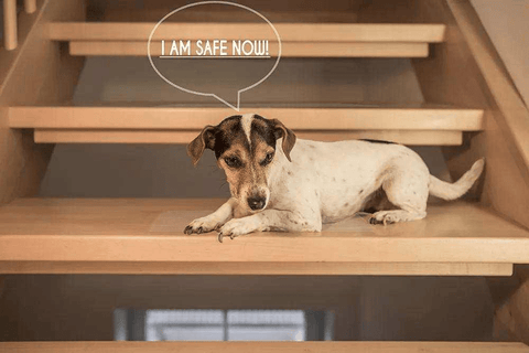 Clear anti-slip stair tape strips applied to wooden stairs
PVA stair traction tape for home safety use – 24” x 4” strips
Non-slip grip tape strips on tile stair surface for pets and kids