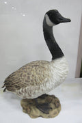 Lifelike resin Canada Goose statue with driftwood-look base
Rustic Canadian goose sculpture for garden and patio
Weatherproof animal figurine for outdoor decor