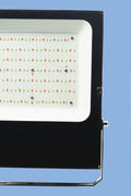 NEW RGB Remote Controlled LED Flood Light — 60W & 100W, 44 - Key Remote, IP66 Waterproof - with 60 Watt | Sold by Uncle Wiener's Wholesale
